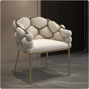 Modern Genuine Home Chair